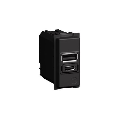 L.Now - Caricatore Usb Con Una Porta Tipo A E Una Tipo C (Bticino Cod. K4192Ac)