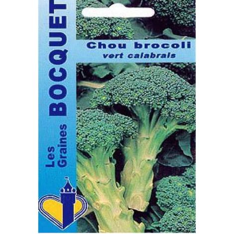 Brocoli 'Calabrais à jets verts' le sachet de 200 graines (1g) (1/2)