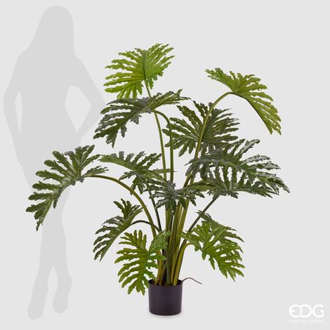 EDG Pianta  Filodendro Con Vaso H. 135 Cm