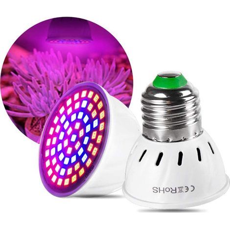Qcwwy Lampe de Croissance de Plantes, Lampe de Croissance de Plantes E27 Lampe de Croissance de Plantes à Effet de Serre Lumière de Croissance pour Grandes Plantes D'intérieur (24) (1/5)
