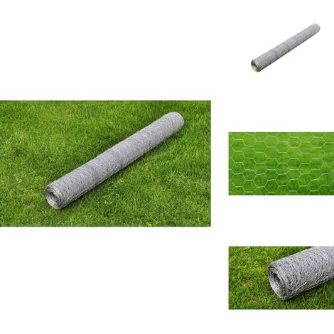 Drahtzaun für Hühner Verzinkter Stahl 25x1 m Silbern - Hühnerzaun - Drahtzaun - Vogelfutterhaus - Gartenzaun - Tiergehege (1/4)