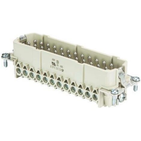Wieland Electric 70.310.2440.0 Insert mâle BAS Nombre total de pôles 24 + PE 1 pc(s) (1/3)