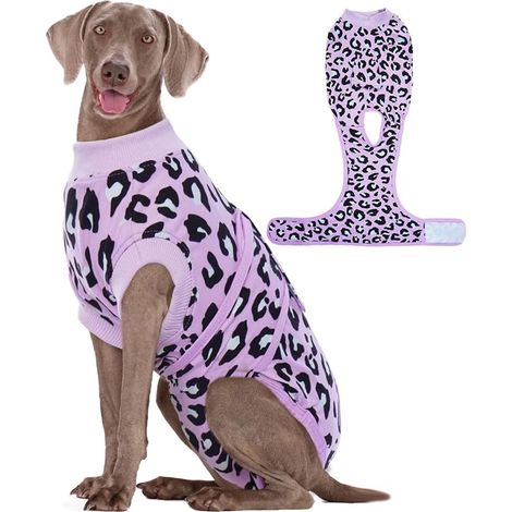 Combinaison de Récupération Chirurgicale pour Chien, Chemise Après Chirurgie Blessures Abdominales et Maladies la Peau, Alternative au Collier Cône E (1/5)
