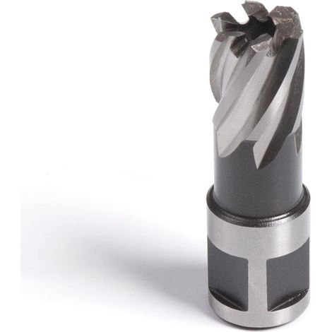 12 x 25 mm Core Drill Bit Evolution - Cuts Faster and Has a Longer Service Life - Compatible with Almost All Magnetic Drills (1/5)