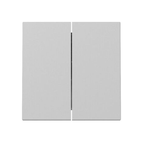 Gira Wippe 3295015 2f Sys.55 gr m