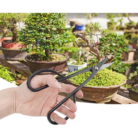 210 mm Knospenschere aus Verbundstahl – Professionelles Werkzeug für die hochwertige Bonsai-Gestaltung, Orchideenvermehrung und Kalmus-Schnitt (1/5)