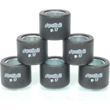 Galet rouleau de variateur Polini pour Scooter Yamaha 300 Tricity (1/5)