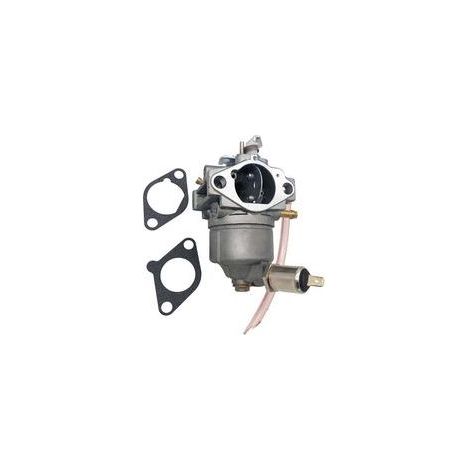 FENOPLASTICACarburateur AM109205 pour Tracteur GT242 GT262 GT275 – Compatible avec 15003-2398 (1/4)