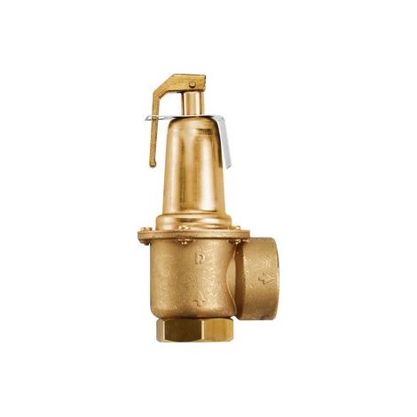 Sicherheitsventil 5bar für KSG600  - 7736606046 von Buderus