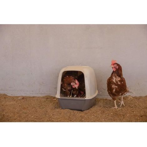 Pondoir pour poules - KERBL - 52 x 39 x 39 cm