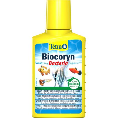 Tetra Aquariumpflege Biocoryn Bacteria 100 ml Aquariumpflege