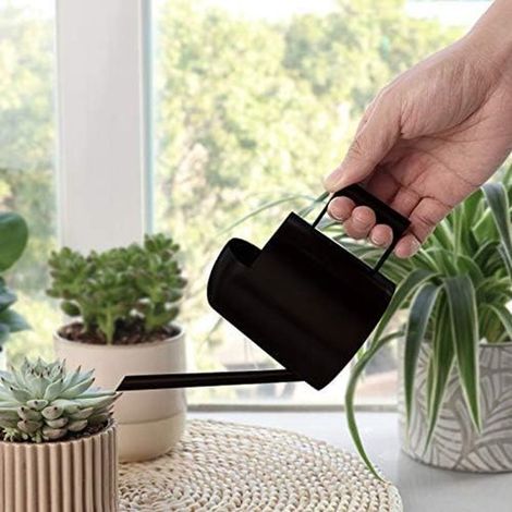 Regadera de acero inoxidable para plantas de interior, Acero inoxidable duradero, Capacidad de 300 ml, 1 unidad, Para suculentas y hierbas (1/5)