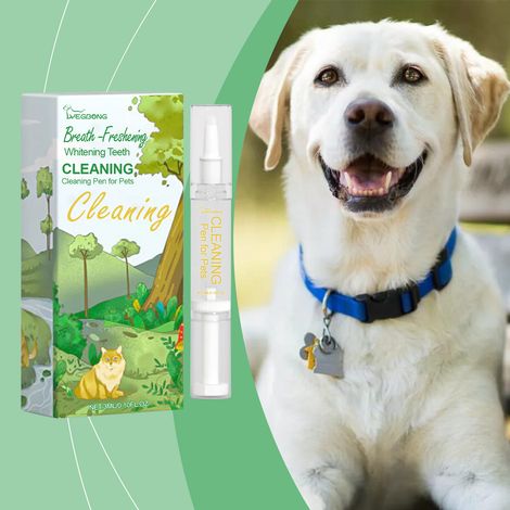 Stylo de nettoyage dentaire pour animaux, en forme de stylo, nettoie en douceur la plaque dentaire, élimine les odeurs et offre un soin frais et portable – 3 ml (1/5)