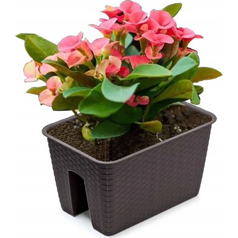Balkon-Blumentöpfe für Balkon, Ratolla Box, 396 mm, Umbra (1/2)