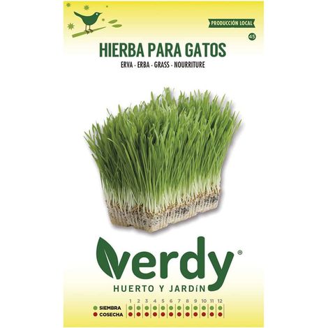 Sachet de graines d'herbe à chat Verdy (1/3)