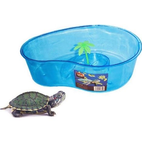 TrAdE Shop Traesio - Tartarughiera Blu Con Palma 32x12x23cm Animali Acquario Vasca Per Tartarughe - (1/2)