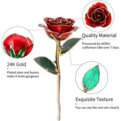 Rose à longue tige trempée dans de l'or 24 carats, présentée dans un coffret cadeau avec un support transparent. Roses rouges pour elle. (1/5)