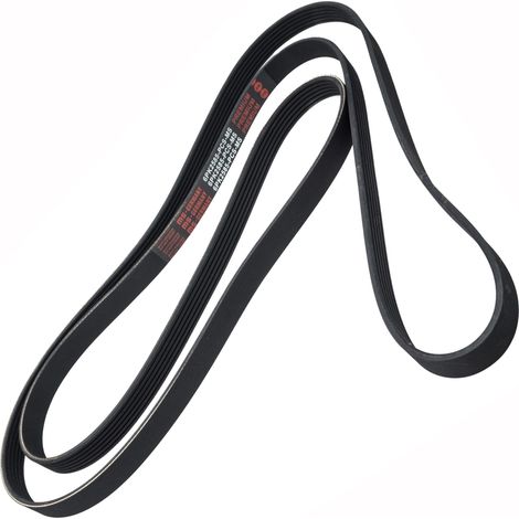 CINGHIA POLARE PK 6PK2585 (1/2)