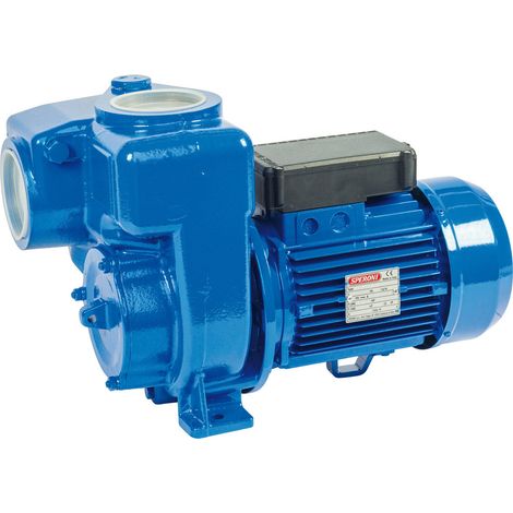 SPERONI HGMG 80-2,2 3 HP Elettropompa ISPEZIONABILE a Girante Aperta MONOFASE