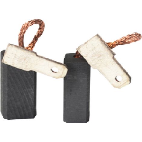 Jeu De 2 Charbons Adaptable Pour Bosch, Flex. Dimensions: 6,3 X 8 X 19mm.