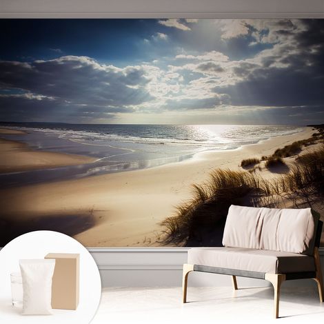 Papier peint intissé mural avec imprimé motifs décoratifs - style contemporain - Colle incluse gratuite Rive rayonnante 312x219 cm (1/5)