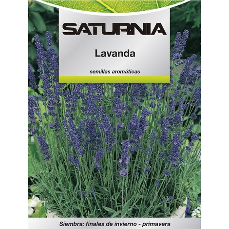 SATURNIA Semi di Lavanda Aromatica (0,5 Grammi) Orticoltura, Orticola, Semi di Orto. (1/2)