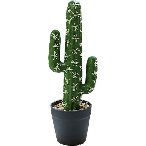 1 Cactus artificial, planta en maceta, musgo duradero, decoración de interiores, hogar y oficina (1/5)
