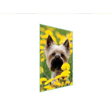 Glasschneidebrett 35x52 Hund