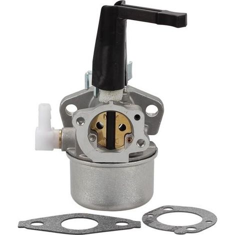 Carburateur pour Moteur Briggs & Stratton 696065 697422 110412 110402-Ywey (1/4)