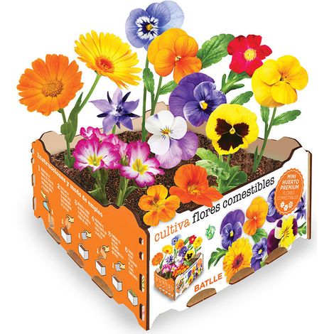 Boîte de fleurs comestibles – 3 variétés – Exposition ensoleillée – Semis printemps – Couleurs vives pour plats raffinés