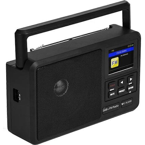 Radio réseau portable +/Radio FM + Enceinte Bluetooth sans fil-- (1/5)