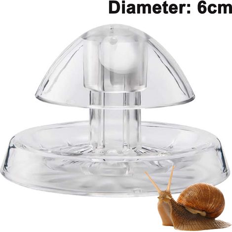 Piège À Escargots Aquarium - Piège Pour Limaces Et Planaires - 6 x 4 cm - En Plastique Transparent - 1 Pièce (1/5)