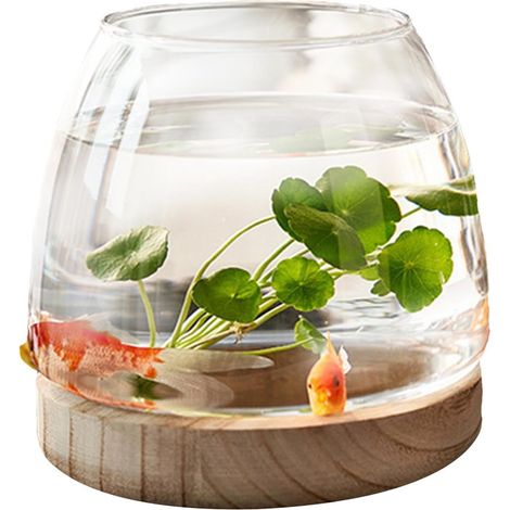 Aquarium Sphérique En Verre Avec Socle Bois - Vase Hydroponique Pour Poisson Rouge Et Betta - Décoration Intérieure (1/5)