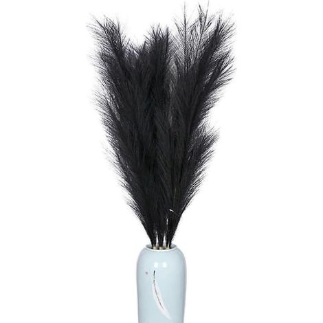 BelleRise - Herbe de la pampa naturelle séchée pour décoration intérieure, mariages et soirées bohèmes, noir (1/4)