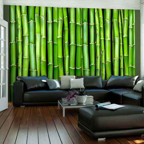 Papier peint mur vert bambou - 250 x 193 cm