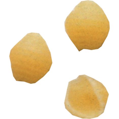 Matrice en bronze - conchiglie - Diamond