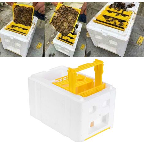 Boîte d'accouplement pour reines abeilles Mini Ruche en mousse haute densité, équipement apicole pour pollinisation (1/5)
