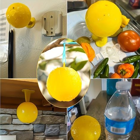 Fruit fly trap, an effective tool for eliminating small flying insects, ideal for indoor use and in kitchens. It also features sticky balls to attract fruit flies. (1/5)
