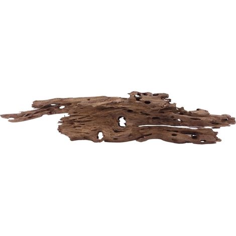 XL Honey Comb Wurzel Nr.1943 Holz Deko Aquascaping
