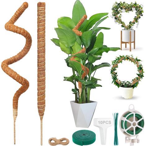 Juego de 2 soportes para plantas, 160 cm, varilla de fibra de coco, 7 mm de ancho, tubo para musgo Monstera, soporte para musgo Monstera para jardín interior (1/5)