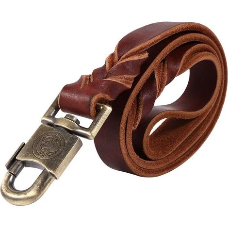 Laisse Chien en Cuir, Collier et Laisse Chien Cuir Souple en chaîne Animaux de Compagnie de Largeur 2,5 cm de Largeur B-raided 90/120/150 cm de Longueur Haute résistance(2.5 120CM) (1/5)