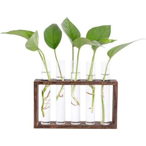 Vase en Verre de Tube à Essai avec Support en Bois pour Plantes Hydroponiques Tube Vase Vintage (1/5)