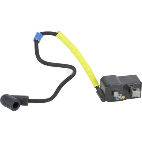 Modulo d'accensione HUSQVARNA 537418701 (1/2)