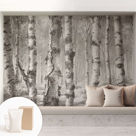 Papier peint intissé avec imprimé installation simple qualité excellente sans désordre - Colle incluse gratuite Forêt de bouleaux 208x146 cm (1/5)