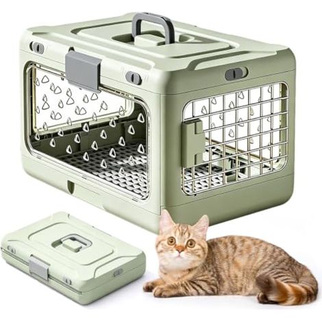 Caisse de Transport Chat et Chien, Transporteur Léger pour Animaux Caisse de Transport Rigide pour Chats/Chiens avec Aérations Latérales pour Voiture et Avion,50 x 32 x 31 cm (1/5)