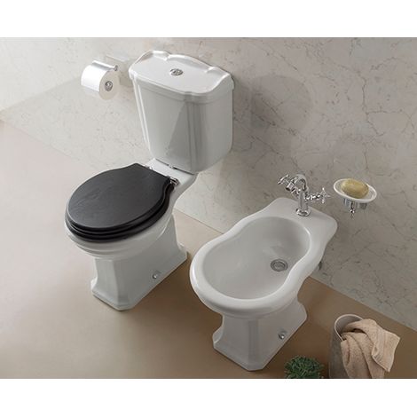 Sanitari Paestum monoblocco cm. 67x38 con sedile in (1/2)