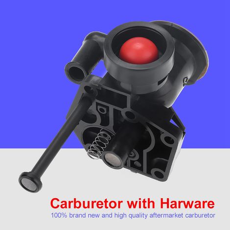 Carburateur avec matériel de montage pour 499809 498809A 494406 (1/5)