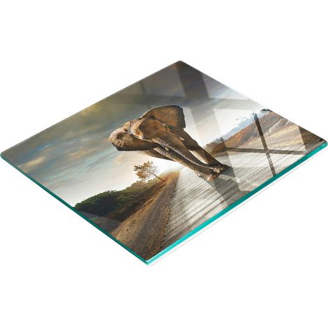Planche décorative multifonctionnelle pour la cuisine, en verre trempé, motif éléphant, 60 x 52 cm (1/5)