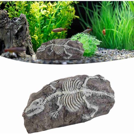 Dinosaure Fossile Décoration pour Aquarium et Terrarium Réplique Réaliste d'Animal Préhistorique - AUTRES (1/5)