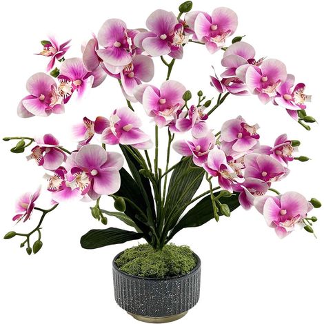 Orchidée Artificielle 33 Fleurs en Pot - Phalaenopsis en Soie 56cm avec Vase Céramique, Décoration Intérieure pour Maison/Bureau, Fausse Plante Réaliste sans Entretien (Blanc-Lavande) (1/5)